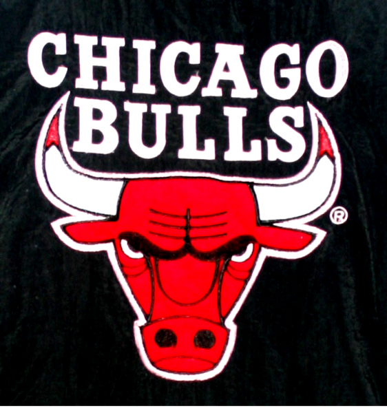 Starter Chicago Bulls jacket Winter 23 Michael Jordan jersey black men's XL